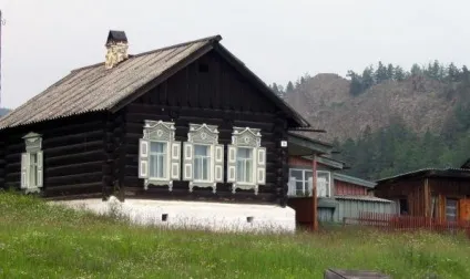 Великі коти в великих котів фото, адреса