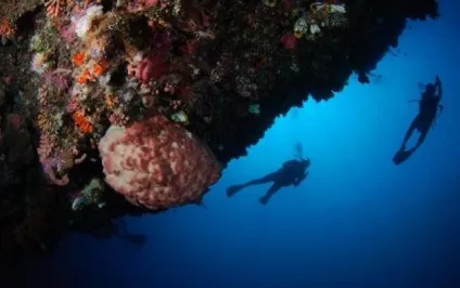 Велика (велика) синя діра або great blue hole в Белізі; блакитна діра в Дахабі (Єгипет); блакитна