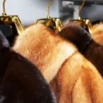 Чим можна відіпрати мазут з одягу в домашніх умовах