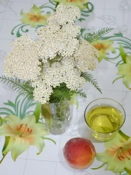 Чай з деревію