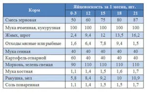 Чим годувати диких качок на ставку, в парку, в домашніх умовах (ставку) Чим годувати диких качок на ставку, в парку, в домашніх умовах