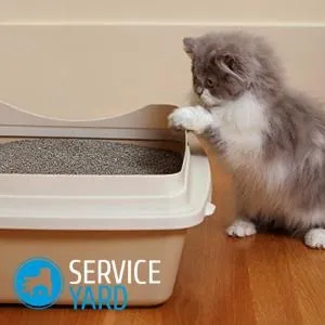 Чим мити котячий лоток щоб не було запаху, serviceyard-затишок вашого будинку в ваших руках (чим мити котячий лоток щоб не було запаху) Чим мити котячий лоток щоб не було запаху, serviceyard-затишок вашого будинку в ваших руках
