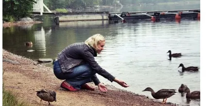 Чим годувати диких качок на ставку, в парку, в домашніх умовах (ставку) Чим годувати диких качок на ставку, в парку, в домашніх умовах
