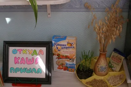 Метою створення в дитячому садку «городу на вікні» (дитячому) Метою створення в дитячому садку «городу на вікні»