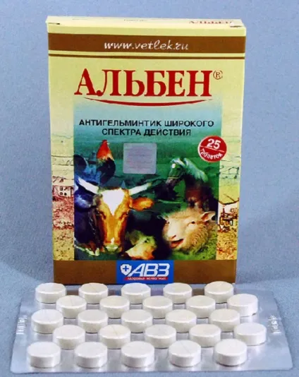 Чим лікувати пронос у козенят, відео (лікувати) Чим лікувати пронос у козенят, відео