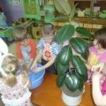 Чим зайняти дитину на прогулянці (доу) Чим зайняти дитину на прогулянці