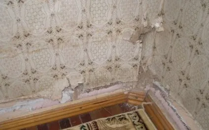 Що робити, якщо стіни сиреют (стіни) Що робити, якщо стіни сиреют