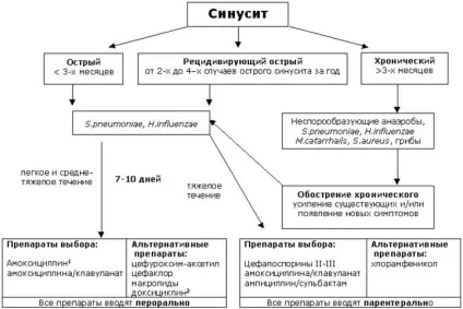Що робити, якщо болять пазухи носа - кращі методи лікування (пазухи) Що робити, якщо болять пазухи носа - кращі методи лікування