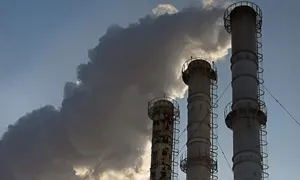 Що являє собою захворювання риносинусопатия головного мозку (захворювання) Що являє собою захворювання риносинусопатия головного мозку
