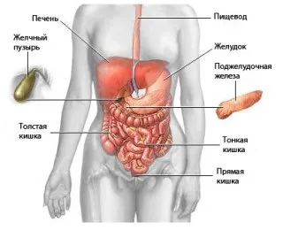 Що краще - мрт або кт черевної порожнини відмінність методів (краще) Що краще - мрт або кт черевної порожнини відмінність методів