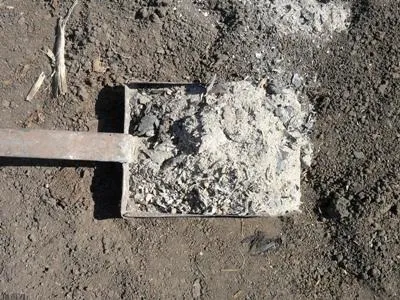 Що робити з картоплинням - 4 варіанти використання (картопляної) Що робити з картоплинням - 4 варіанти використання