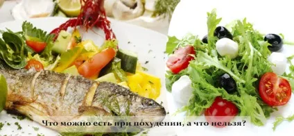 Що можна їсти при схудненні, а що не можна поради та перелік товарів (як скинути вагу) Що можна їсти при схудненні, а що не можна поради та список продуктів