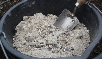 Що необхідно класти в лунку при посадці помідорів корисні поради (посадці) Що необхідно класти в лунку при посадці помідорів корисні поради