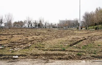 Що трапилося в зоопарку
