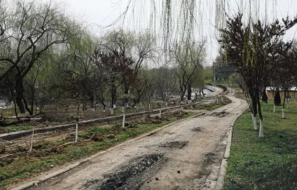 Що трапилося в зоопарку