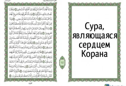 Що, з точки зору ісламу, відбувається з дітьми, померлими в ранньому дитинстві (померлими) Що, з точки зору ісламу, відбувається з дітьми, померлими в ранньому дитинстві