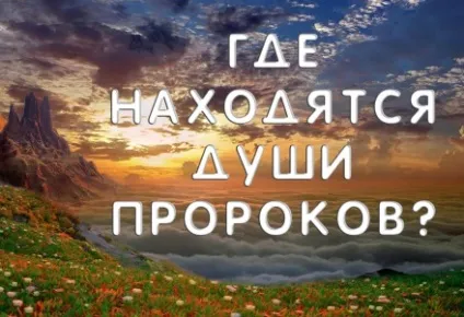 Що, з точки зору ісламу, відбувається з дітьми, померлими в ранньому дитинстві (відбувається) Що, з точки зору ісламу, відбувається з дітьми, померлими в ранньому дитинстві