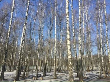 Що можна відвідати біля аеропорту Внуково, готель Внуково, готель Внуково в Москві (можна) Що можна відвідати біля аеропорту Внуково, готель Внуково, готель Внуково в Москві
