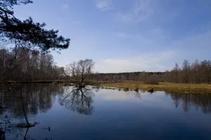 Що таке льодохід і повінь питання юного натураліста (повінь) Що таке льодохід і повінь питання юного натураліста