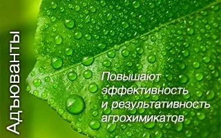 Що таке ад'юванти стаття, огляд (таке) Що таке ад'юванти стаття, огляд