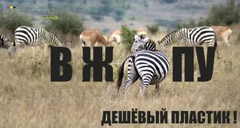 Що таке nano-картриджі bursten