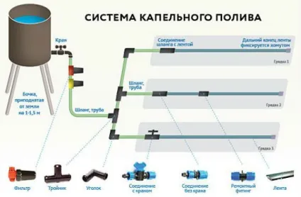 Що таке цілорічна теплиця, відміну всесезонной споруди від звичайної, поради, як побудувати
