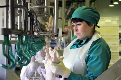 Що таке рожева слиз або чому я не їм магазинну курятину, цікаве, лазарев сергей (чому) Що таке рожева слиз або чому я не їм магазинну курятину, цікаве, лазарев сергей