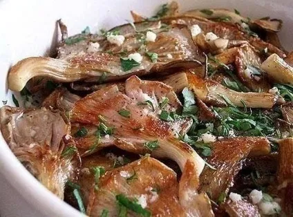 Що таке чайний гриб