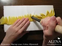 Квіти з тканини своїми руками майстер-клас з фото та відео (квіти з тканини своїми руками майстер клас) Квіти з тканини своїми руками майстер-клас з фото та відео
