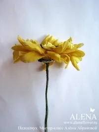 Квіти з тканини своїми руками майстер-клас з фото та відео (майстер-клас) Квіти з тканини своїми руками майстер-клас з фото та відео