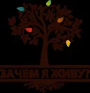 день 35
