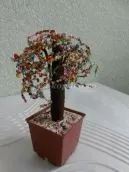 Грошове дерево з бісеру