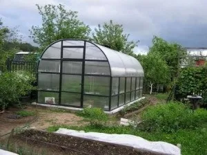 Для чого потрібні парники
