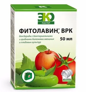 Фунгіцид «фітолавін» опис і інструкція із застосування (фунгіцид) Фунгіцид «фітолавін» опис і інструкція із застосування
