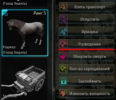 Гайд розведення коней в black desert (розведення) Гайд розведення коней в black desert