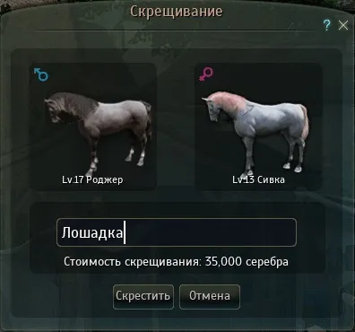Гайд розведення коней в black desert (black) Гайд розведення коней в black desert
