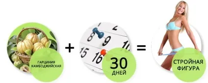 Гарциния для схуднення інструкція із застосування (застосування) Гарциния для схуднення інструкція із застосування