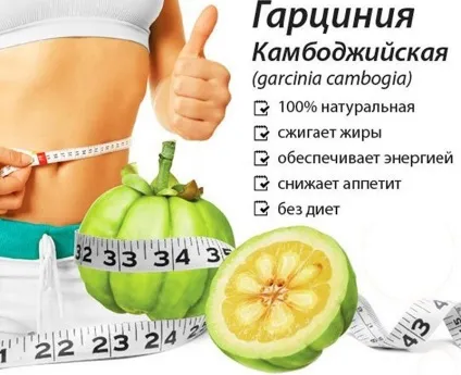 Гарциния для схуднення інструкція із застосування (основі гарцинии камбоджійської) Гарциния для схуднення інструкція із застосування