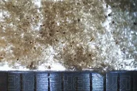 Деревне борошно та ДПК - деревне борошно та ДПК (мука пройшла крізь) Деревне борошно та ДПК - деревне борошно та ДПК