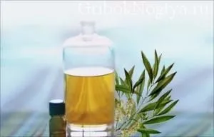Ефірні масла від грибка нігтів і відгуки (ефірні) Ефірні масла від грибка нігтів і відгуки