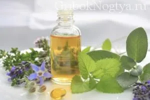 Ефірні масла від грибка нігтів і відгуки (нігтів) Ефірні масла від грибка нігтів і відгуки