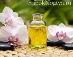 Ефірні масла від грибка нігтів і відгуки (нігтів) Ефірні масла від грибка нігтів і відгуки