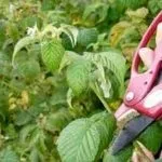 Євроремонт будинку, корисні поради для дому (корисні) Євроремонт будинку, корисні поради для дому
