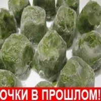 Енцефалопатія головного мозку у дорослих симптоми і лікування хвороби (енцефалопатія) Енцефалопатія головного мозку у дорослих симптоми і лікування хвороби