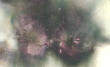 Електромагнітна плазмова гармата