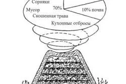 Флокси посадка і догляд