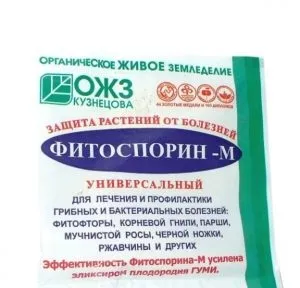 Фітоспорін для томатів інструкція по обробці помідорів, яке застосування, опис, відгуки, фото і (відгуки) Фітоспорін для томатів інструкція по обробці помідорів, яке застосування, опис, відгуки, фото і