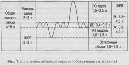форсоване дихання