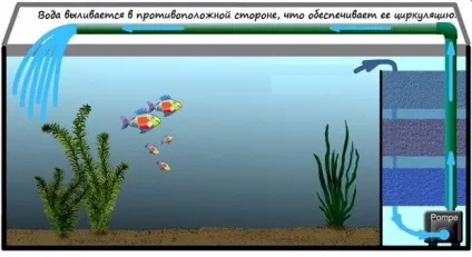 Фільтр для акваріума опис, види, призначення, критерії вибору (акваріумні фільтри) Фільтр для акваріума опис, види, призначення, критерії вибору