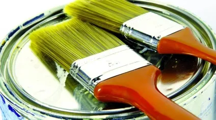 Фісташковий колір в інтер'єрі як змішати фарби для стін (30 фото) (фісташка) Фісташковий колір в інтер'єрі як змішати фарби для стін (30 фото)